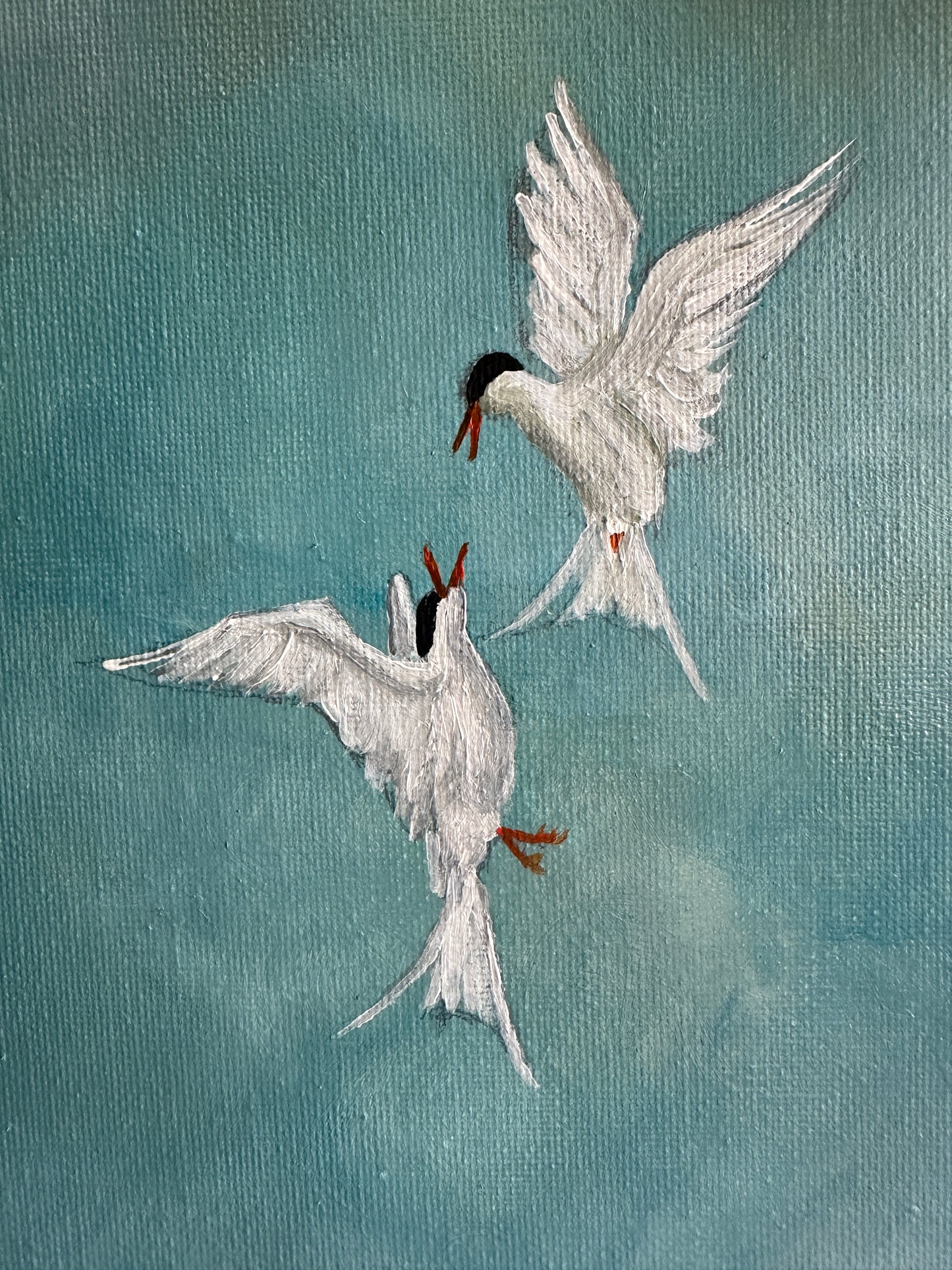 Aerial Battle