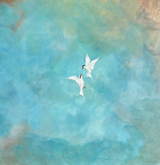 Aerial Battle